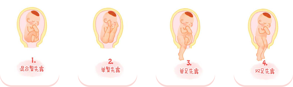 2024澳门开门原料免费