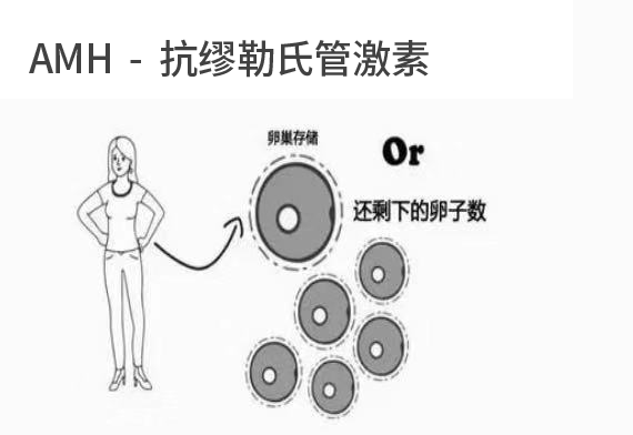 微信图片_20190919094527.png
