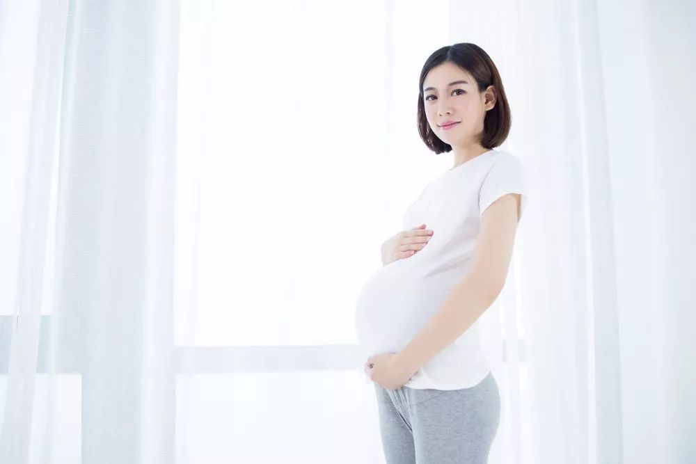 2024澳门开门原料免费